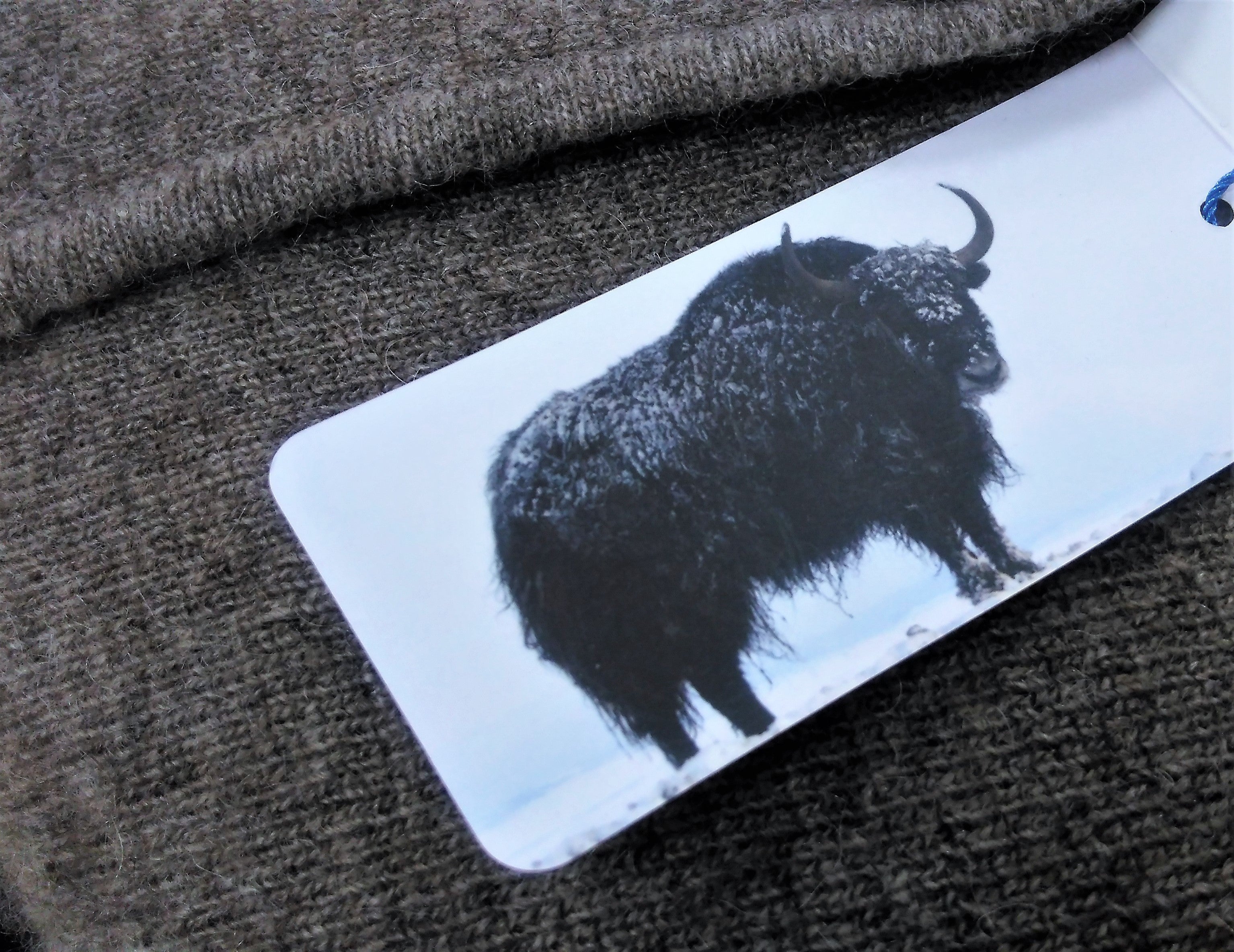 オーガニックで育てたモンゴル大平原の ヤク キャメルの肌触りを届けたい Campfire キャンプファイヤー オーガニックで育てたモンゴル大平原の ヤク キャメルの肌触りを届けたい Campfire キャンプファイヤー