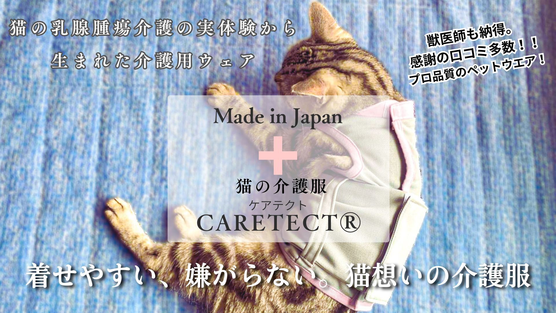 急な自壊に！猫や犬の乳腺腫瘍をサポートする介護服CARETECTを広めたい