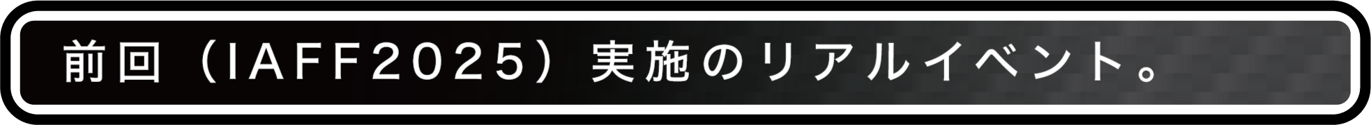 前回(IAFF2025)実施のリアルイベント。