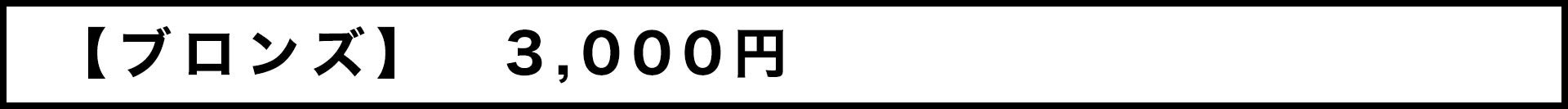 【ブロンズ】3,000円