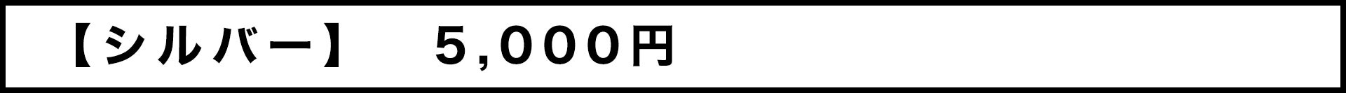 【シルバー】5,000円