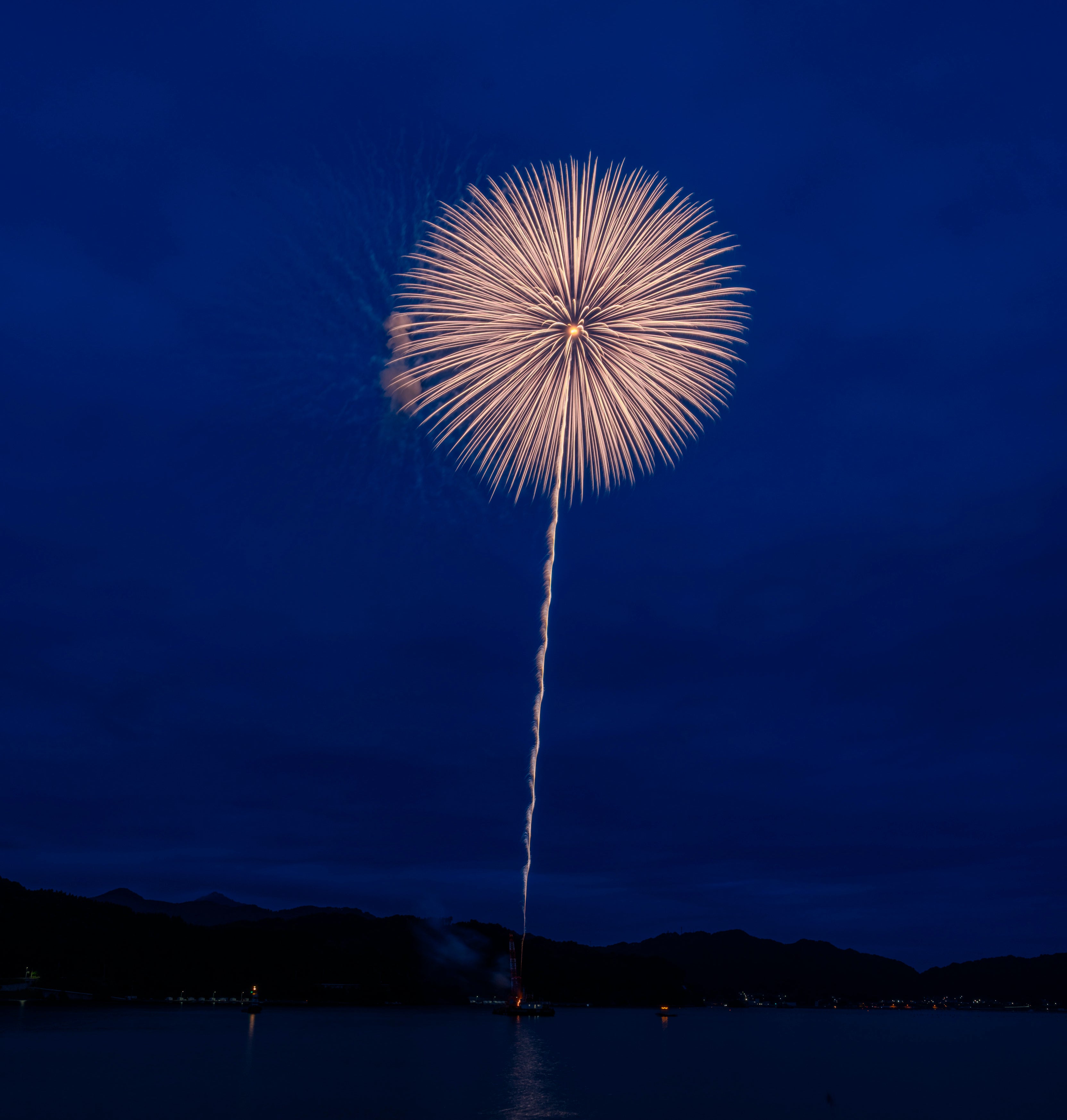 震災30年まで、咲かせ続ける 3.11鎮魂の花火「白菊」を次世代へ繋ぐ