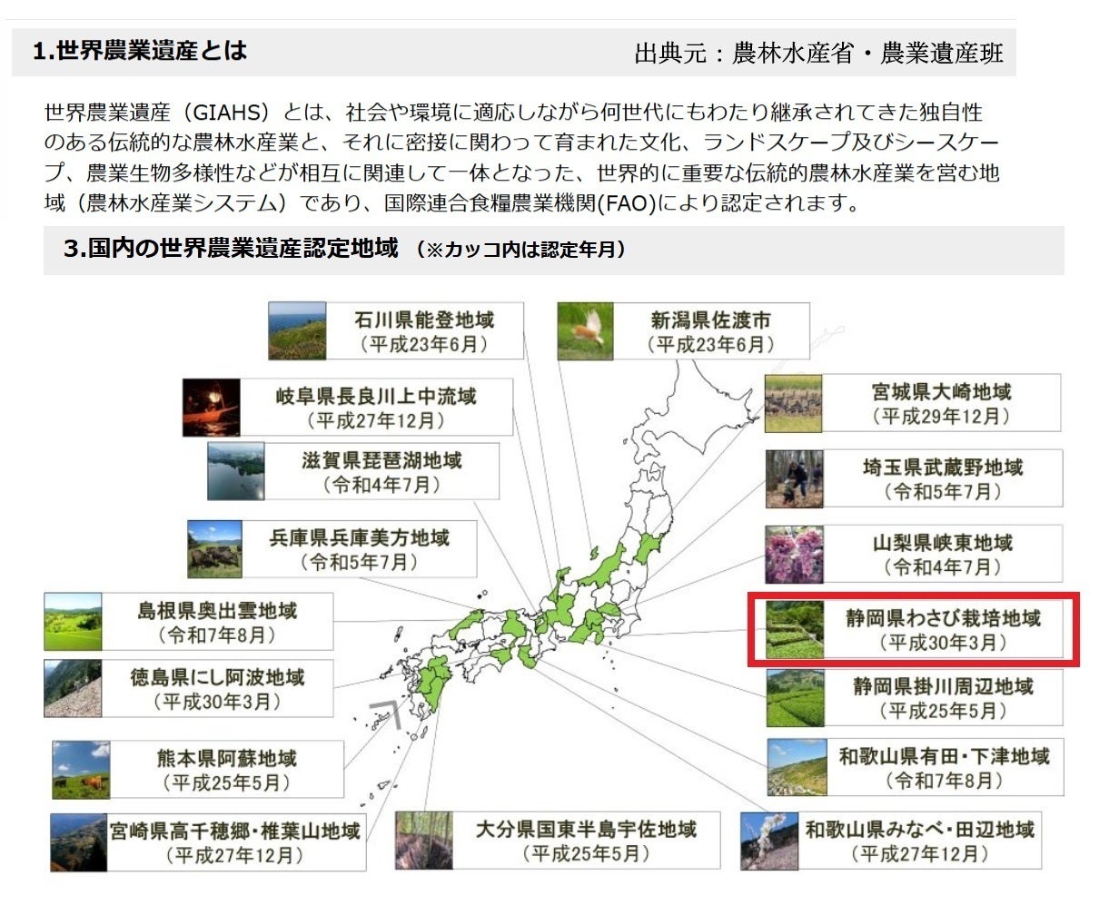 伊豆天城】伝統的な畳石式わさび棚田の未来 を共に守る共同オーナー