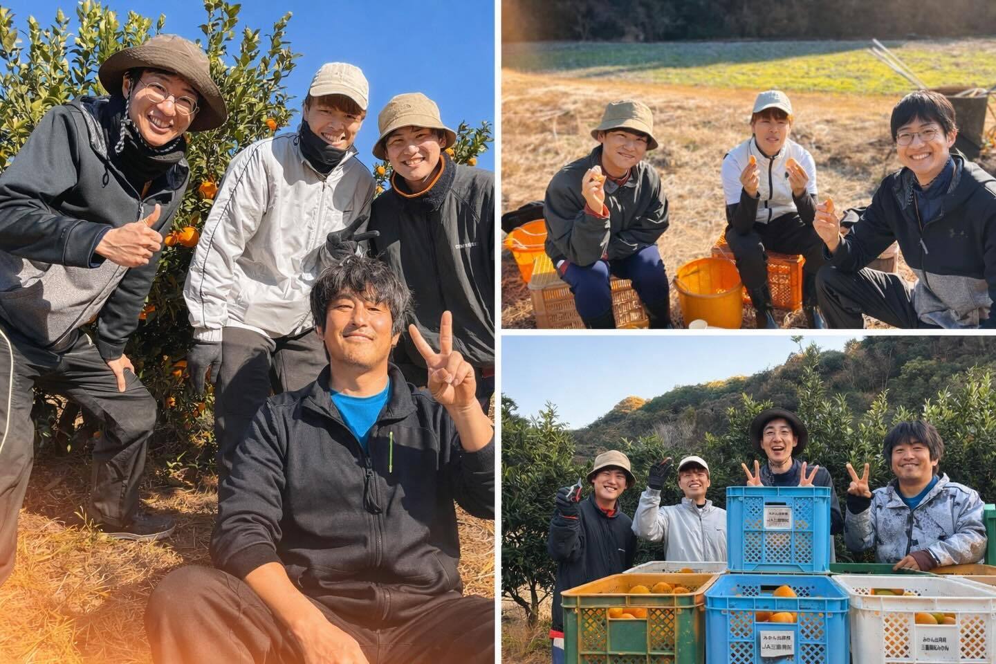 みかんの味と品質に挑む！三重県御浜町「ゼロイチふぁ〜む」みかんの木