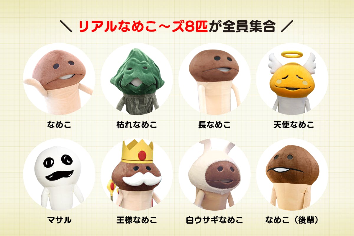 2026年度プロジェクト始動！2月16日（月）19:00支援受付開始