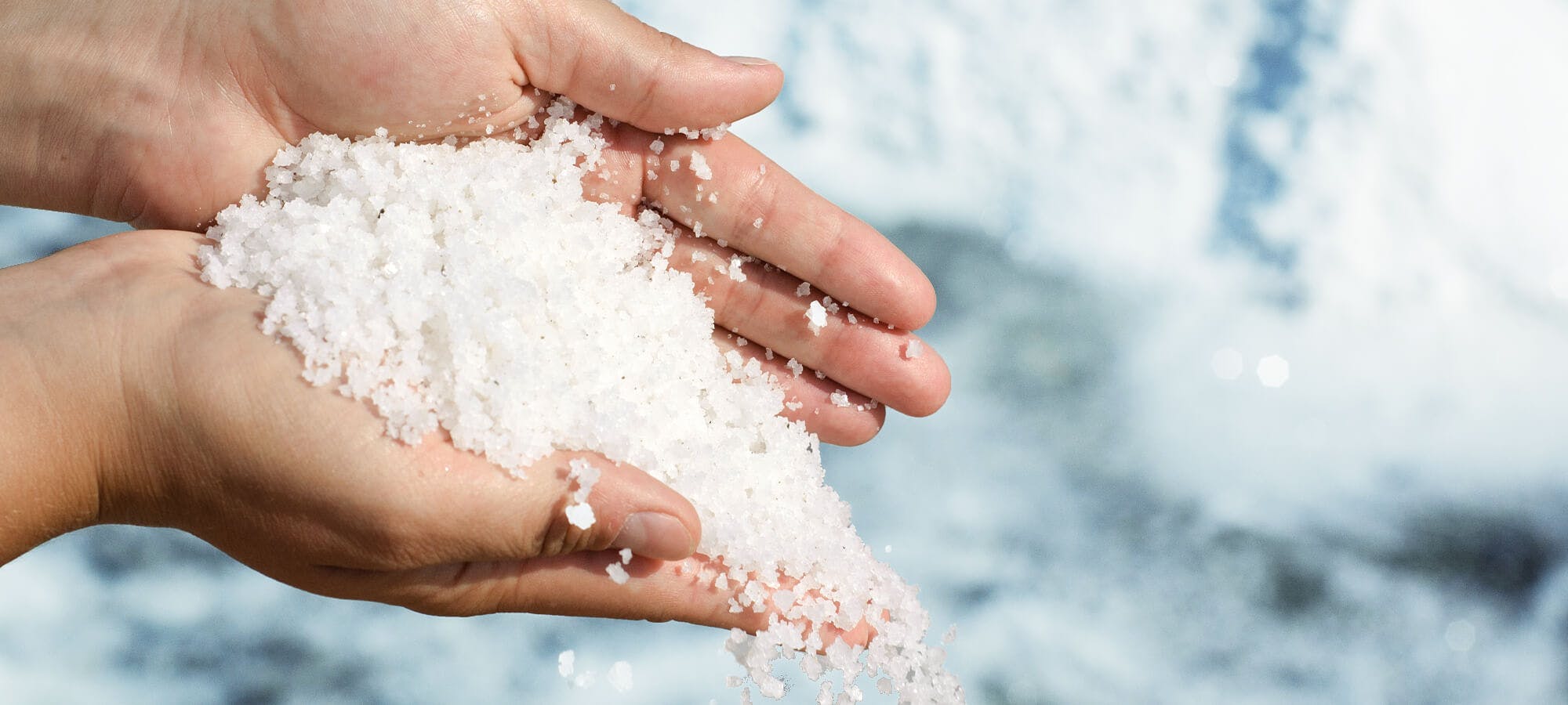 自然の力だけで結晶化する天日塩。その魅力に迫る！ | 三井物産シャークベイソルト 業務用 塩・オーストラリアの天日塩