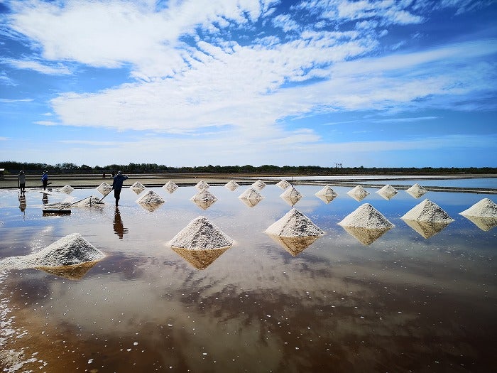 塩と健康の関係 | 神門鍼灸整骨院 甲東園院