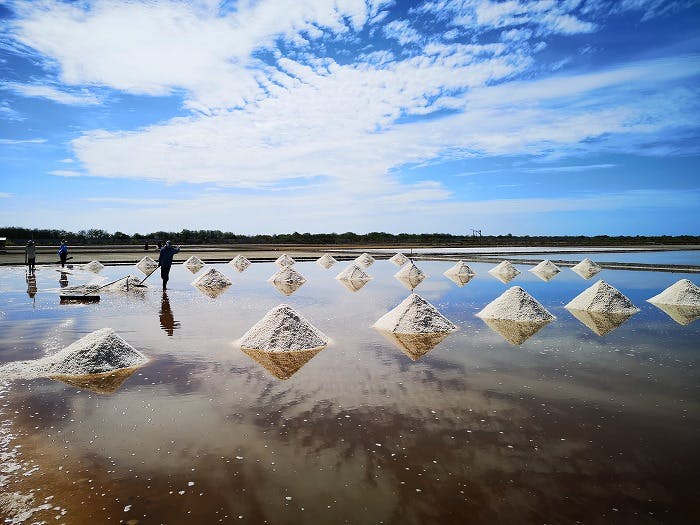 塩と健康の関係 | 神門鍼灸整骨院 甲東園院