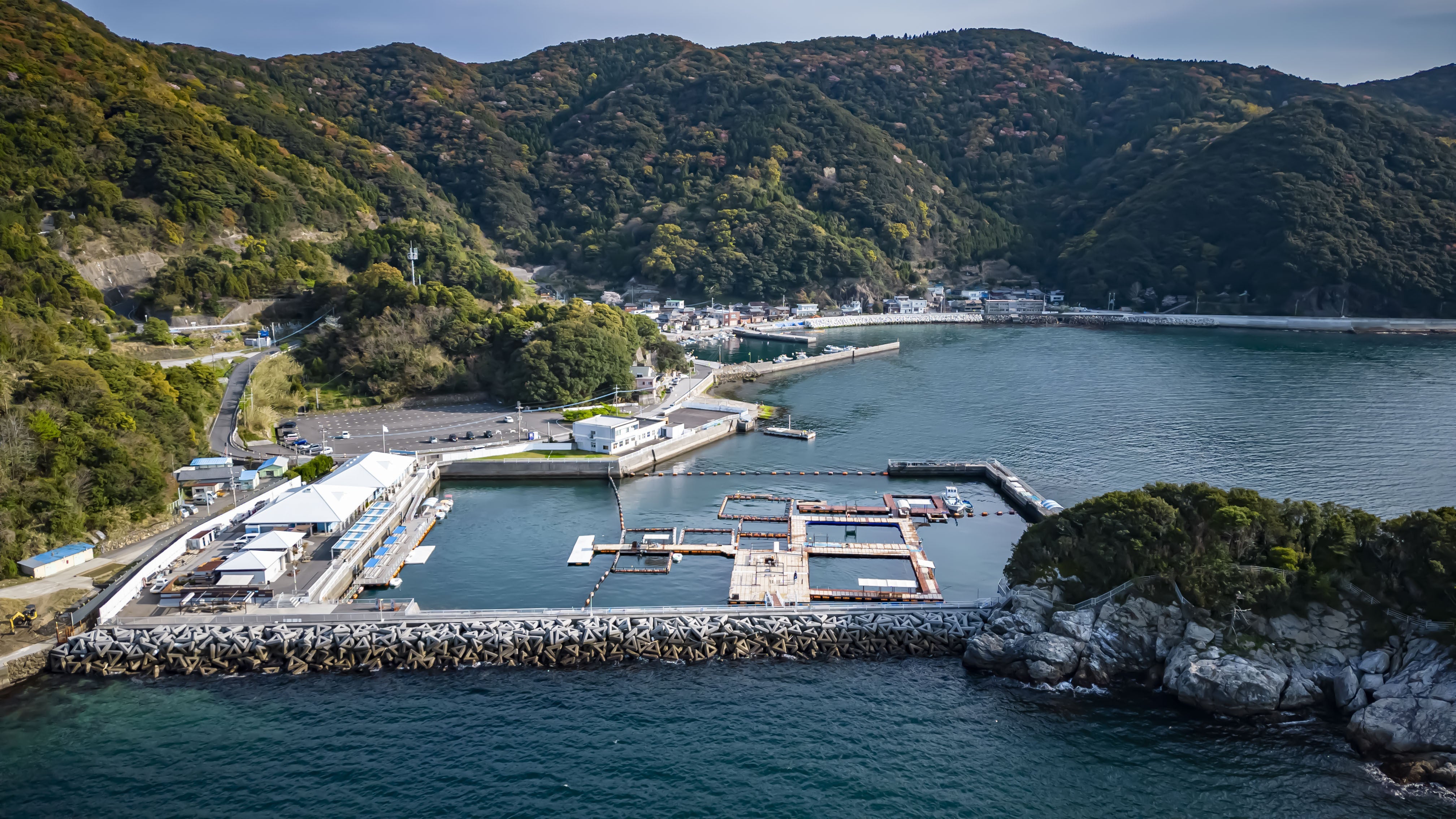 大分の体験型水族館「つくみイルカ島」いきものたちが輝く快適な施設へ