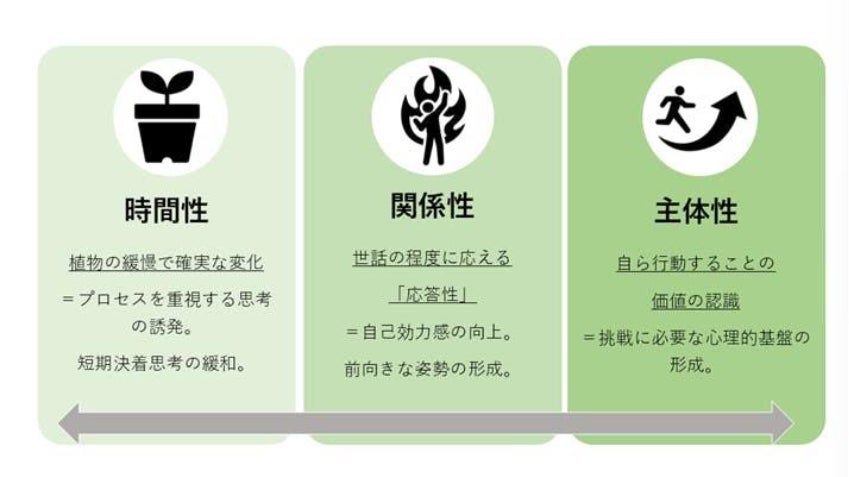 グラフィカル ユーザー インターフェイス AI 生成コンテンツは誤りを含む可能性があります。