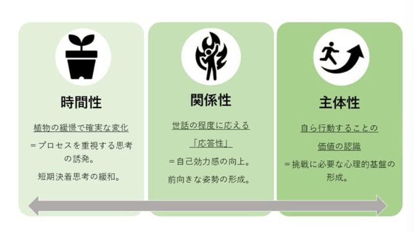 グラフィカル ユーザー インターフェイス AI 生成コンテンツは誤りを含む可能性があります。