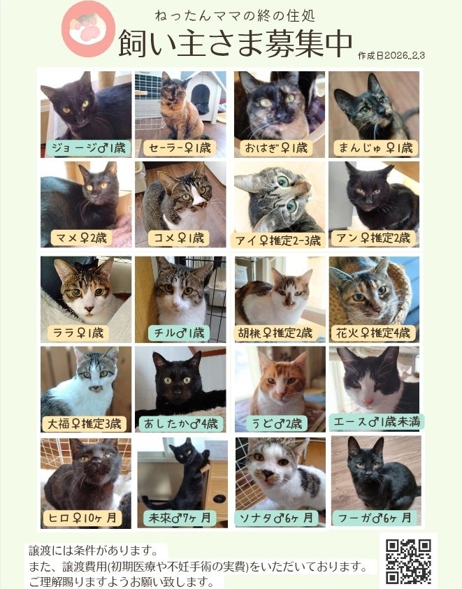 30匹の保護猫に。安定した穏やかな暮らしを。 〜ねったんママの終の