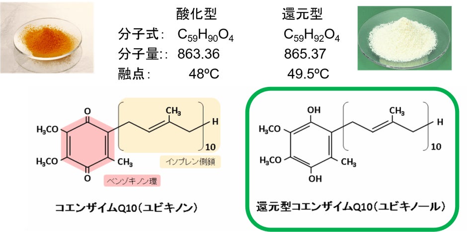 「酸化型」と「還元型」