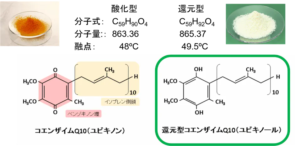 「酸化型」と「還元型」