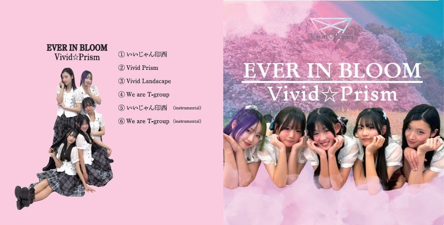 虹色の眺望/Prismatic Vista 英語版4枚セット 244)《虹色の眺望/Prismatic Vista》[MH1] 土地R | 日本最大級 MTG通販