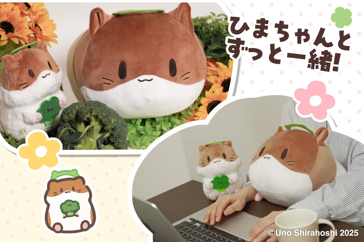 しっとりもちもち♪ひまちゃんクッション化プロジェクト - CAMPFIRE