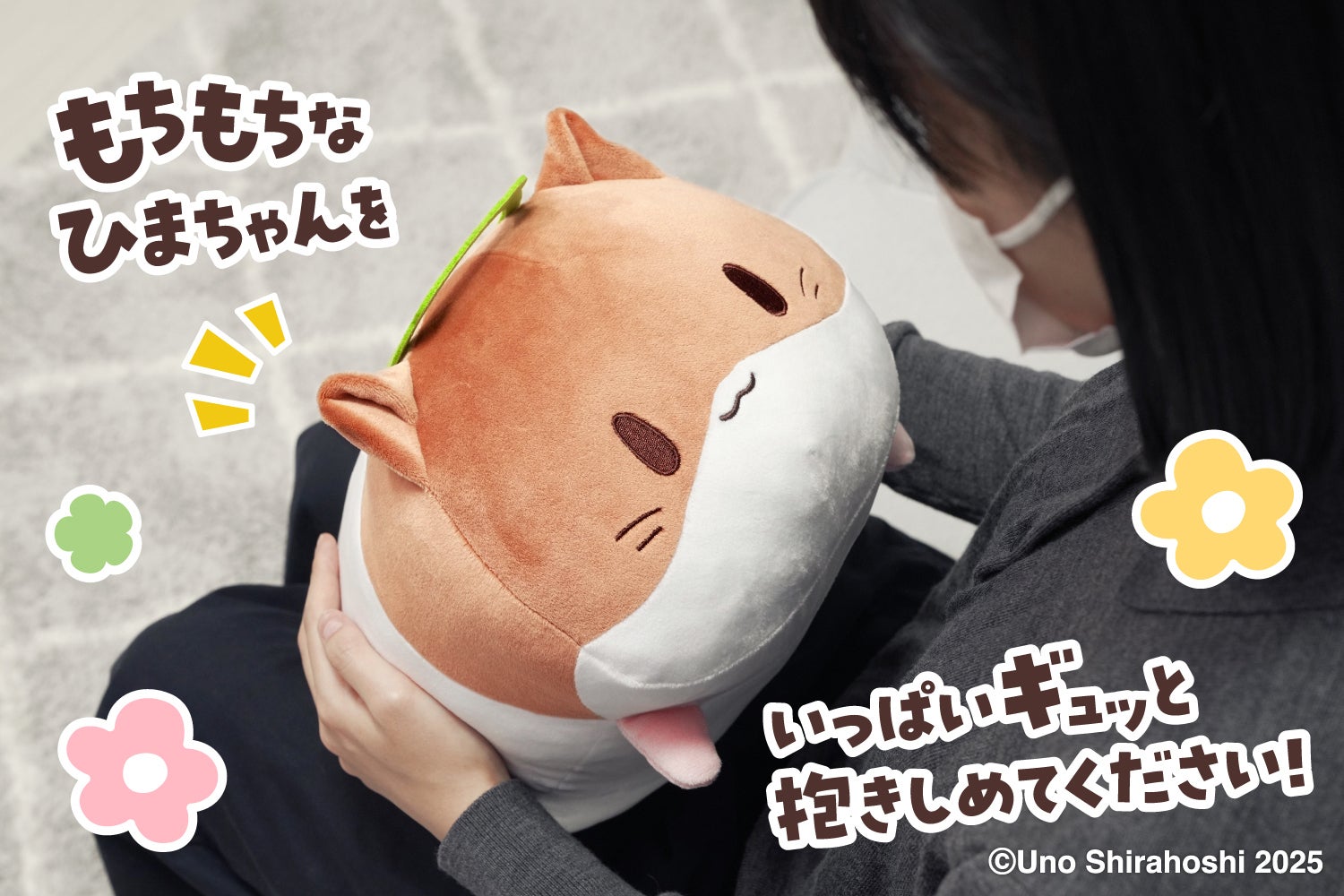 しっとりもちもち♪ひまちゃんクッション化プロジェクト - CAMPFIRE