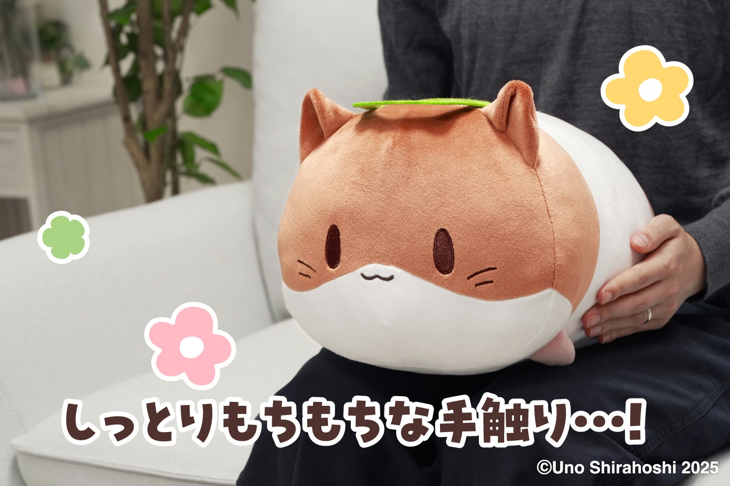 しっとりもちもち♪ひまちゃんクッション化プロジェクト - CAMPFIRE