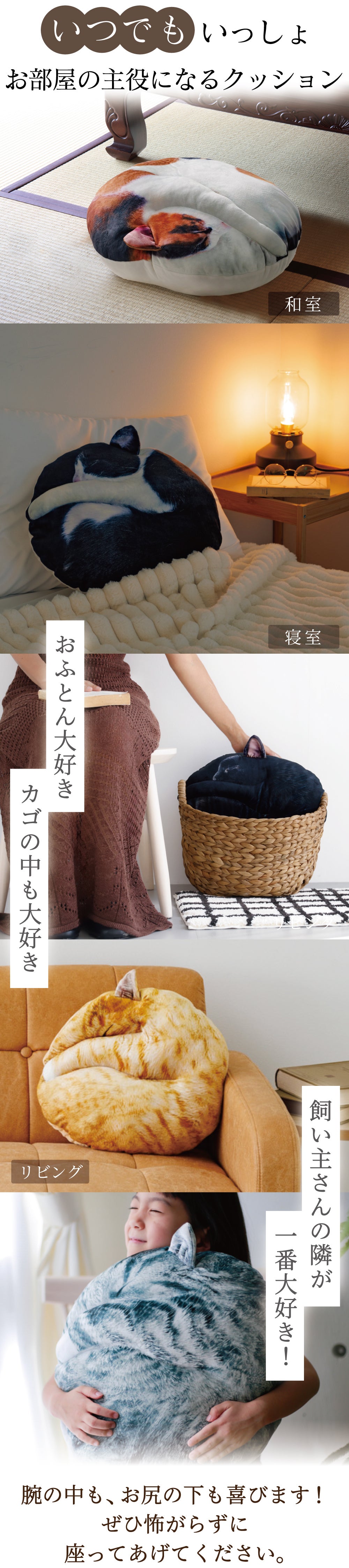受注会】猫の寝姿から生まれた『necomaru〜ねこのまんまるクッション