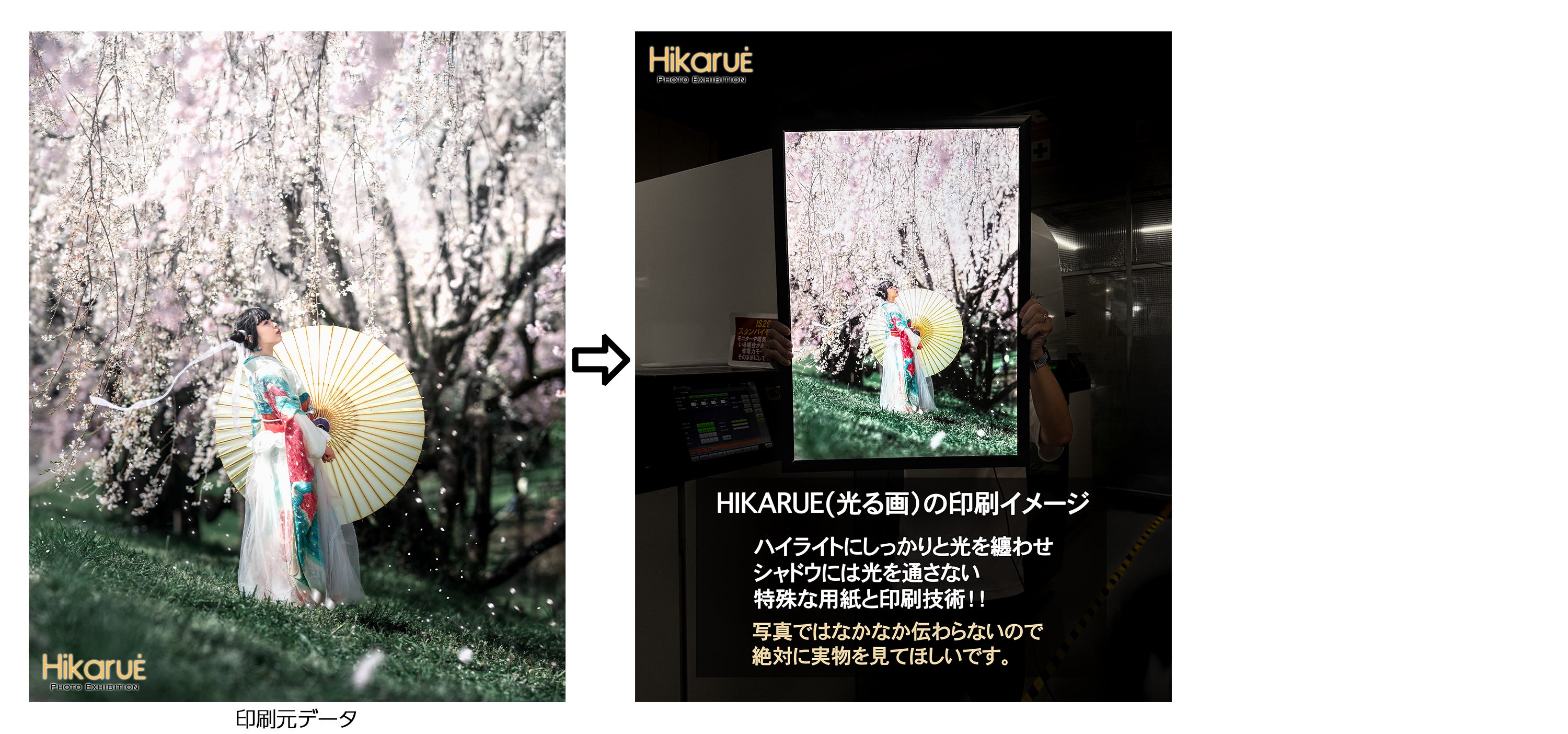 光と感動が溢れる奇跡の写真展】32人の写真家×最新技術で挑む2026夏の