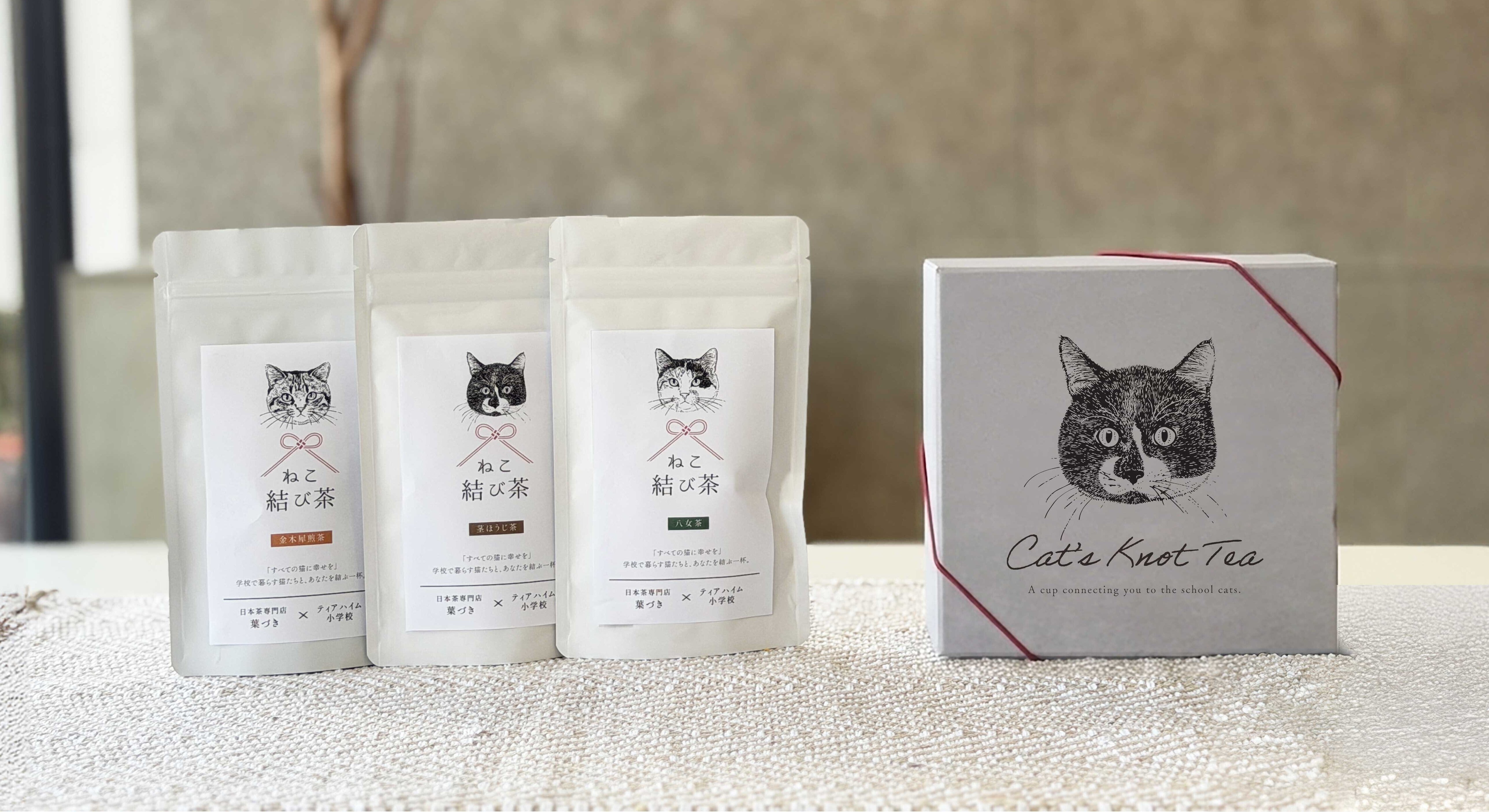 ねこ結び茶」で猫を助けたい - CAMPFIRE (キャンプファイヤー)