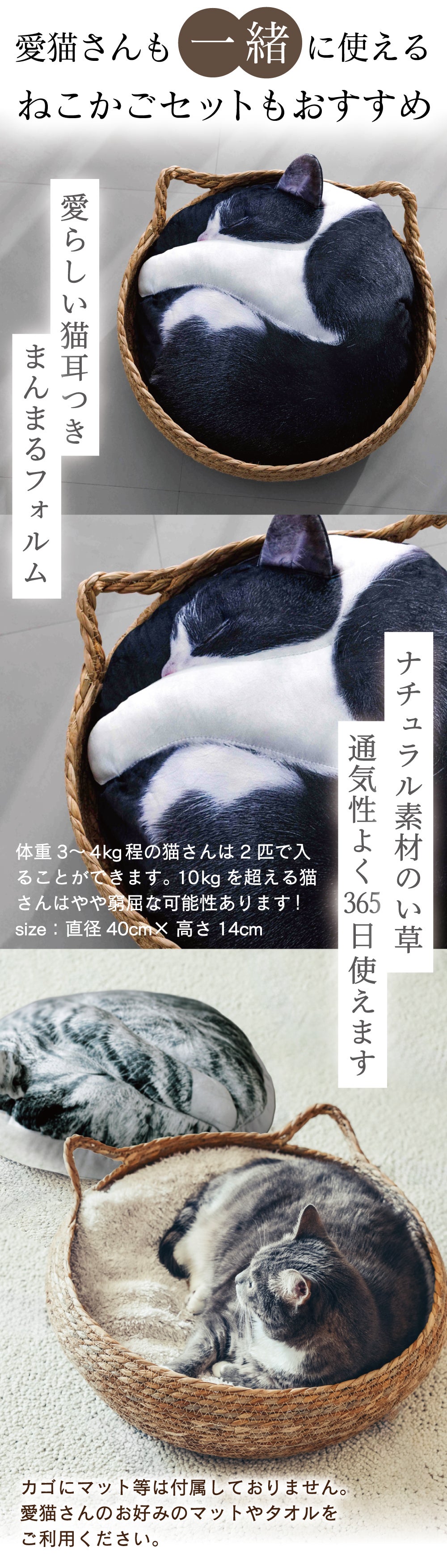 受注会】猫の寝姿から生まれた『necomaru〜ねこのまんまるクッション