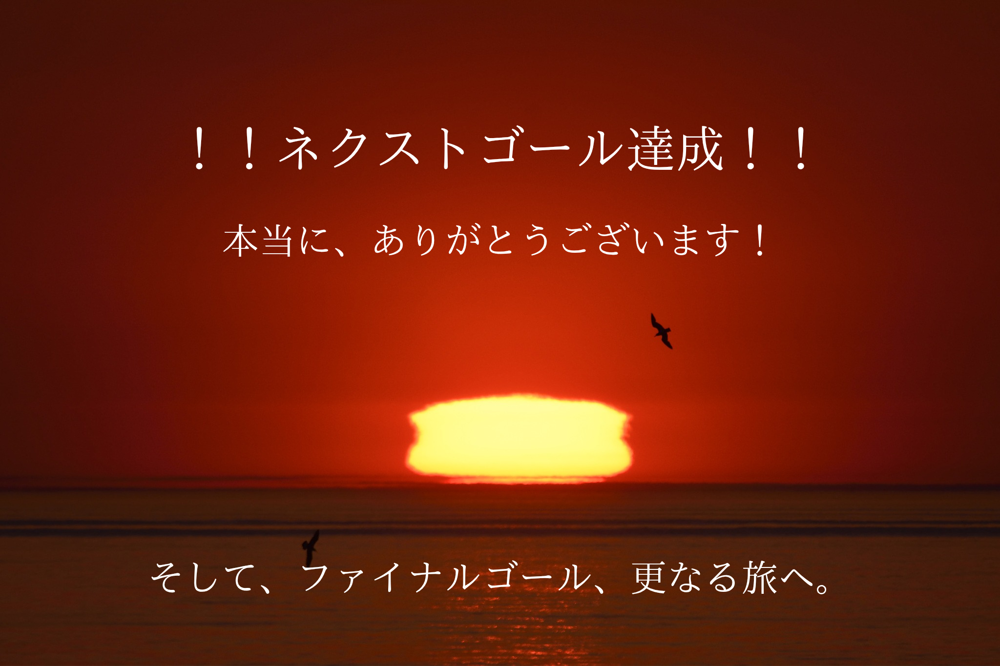正規品タロットカード】レア✨クラウドファンディング完売✨封印された