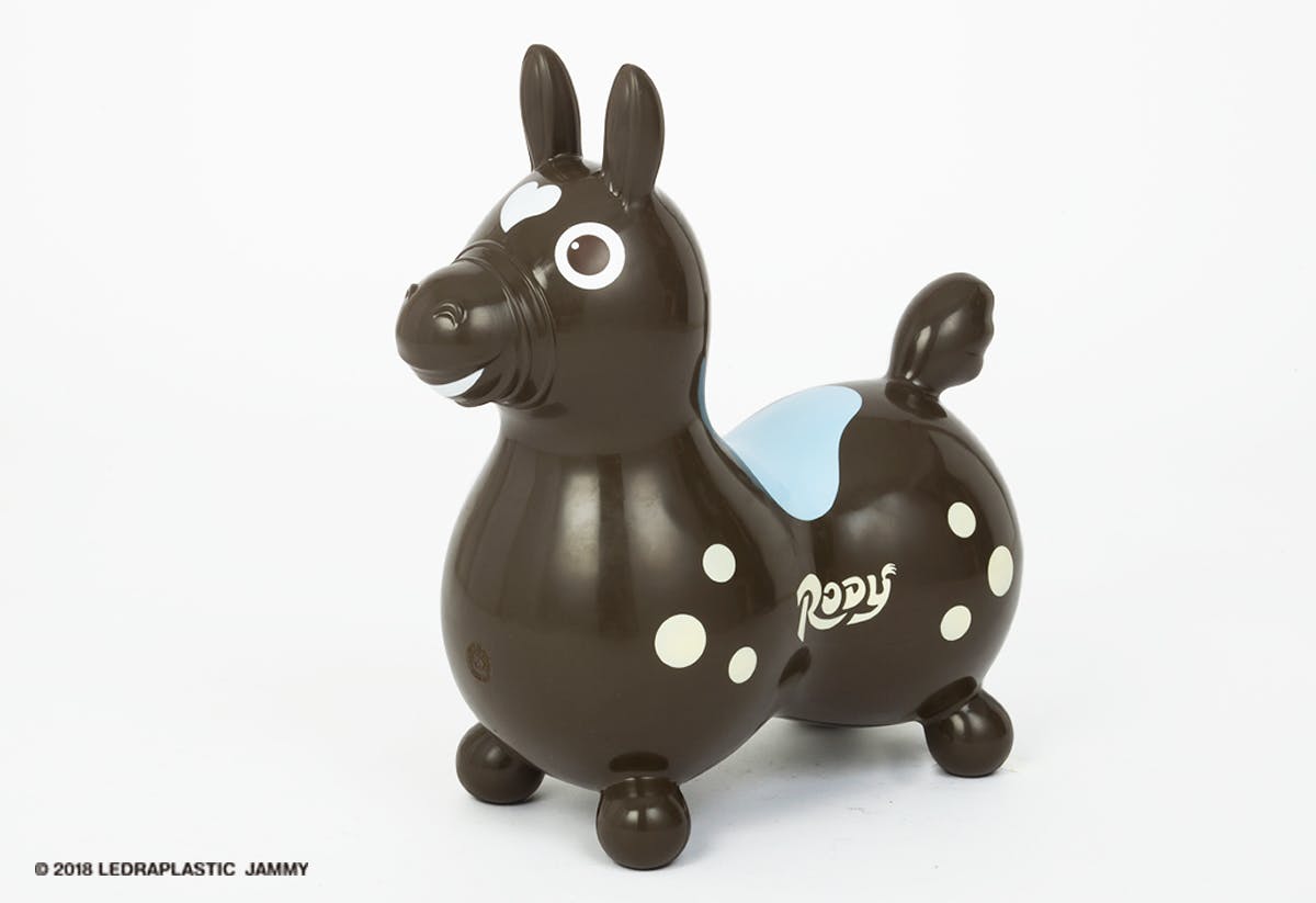 ロディ35th記念 イタリア生まれのバランスボール Rody プロジェクト Campfire キャンプファイヤー