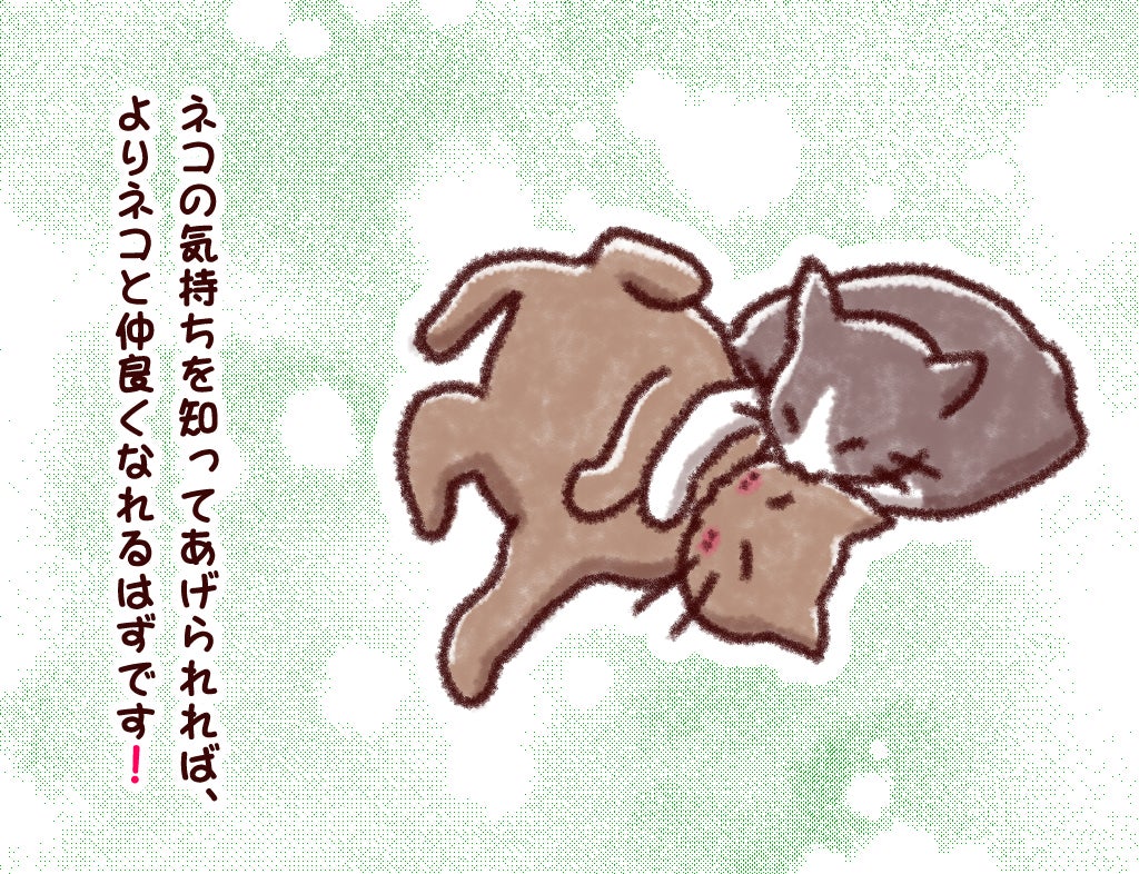 ネコの気持ちを知ってあげられれば、よりネコと仲良くなれるはずです！