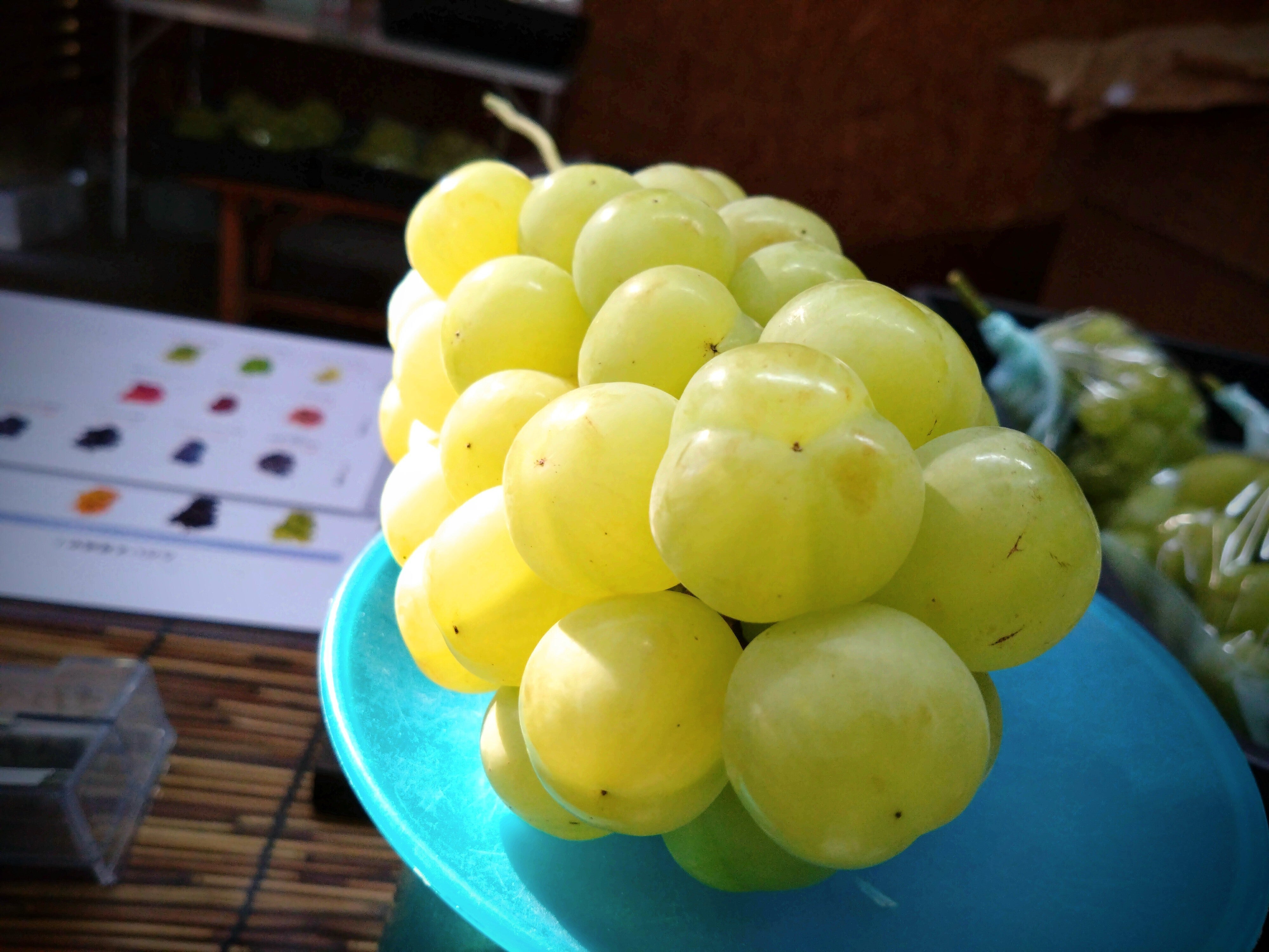 瀬戸ジャイアンツ