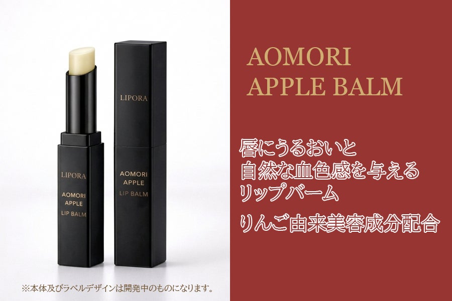 画像は開発中のイメージになります