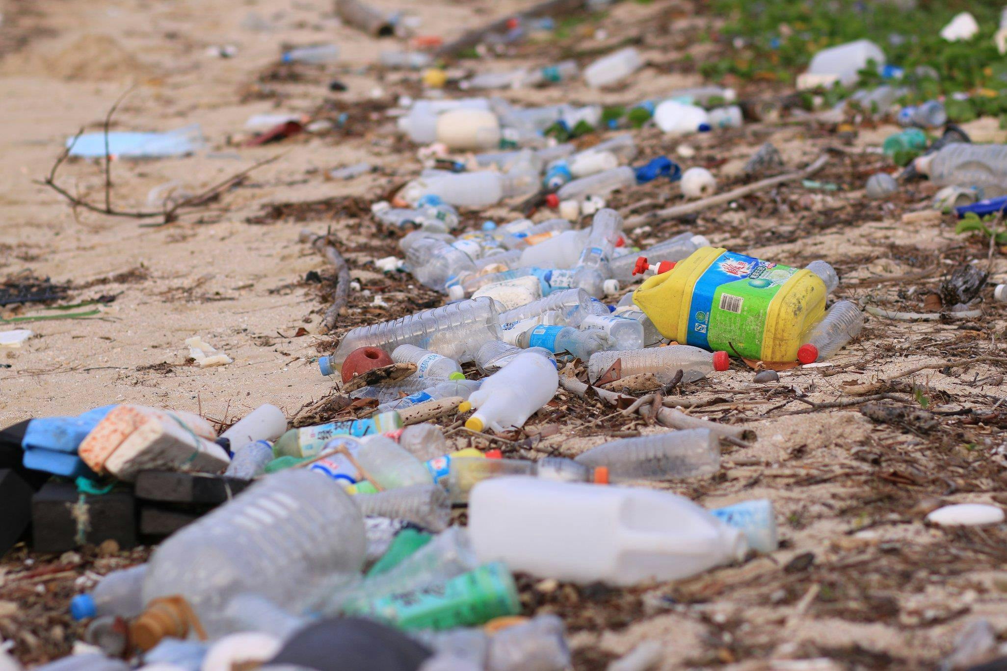 マイボトル持ち歩きを普及させ カフェで出る使い捨てカップごみを減らしたい Campfire キャンプファイヤー マイボトル持ち歩きを普及させ カフェで出る使い捨てカップごみを減らしたい Campfire キャンプファイヤー