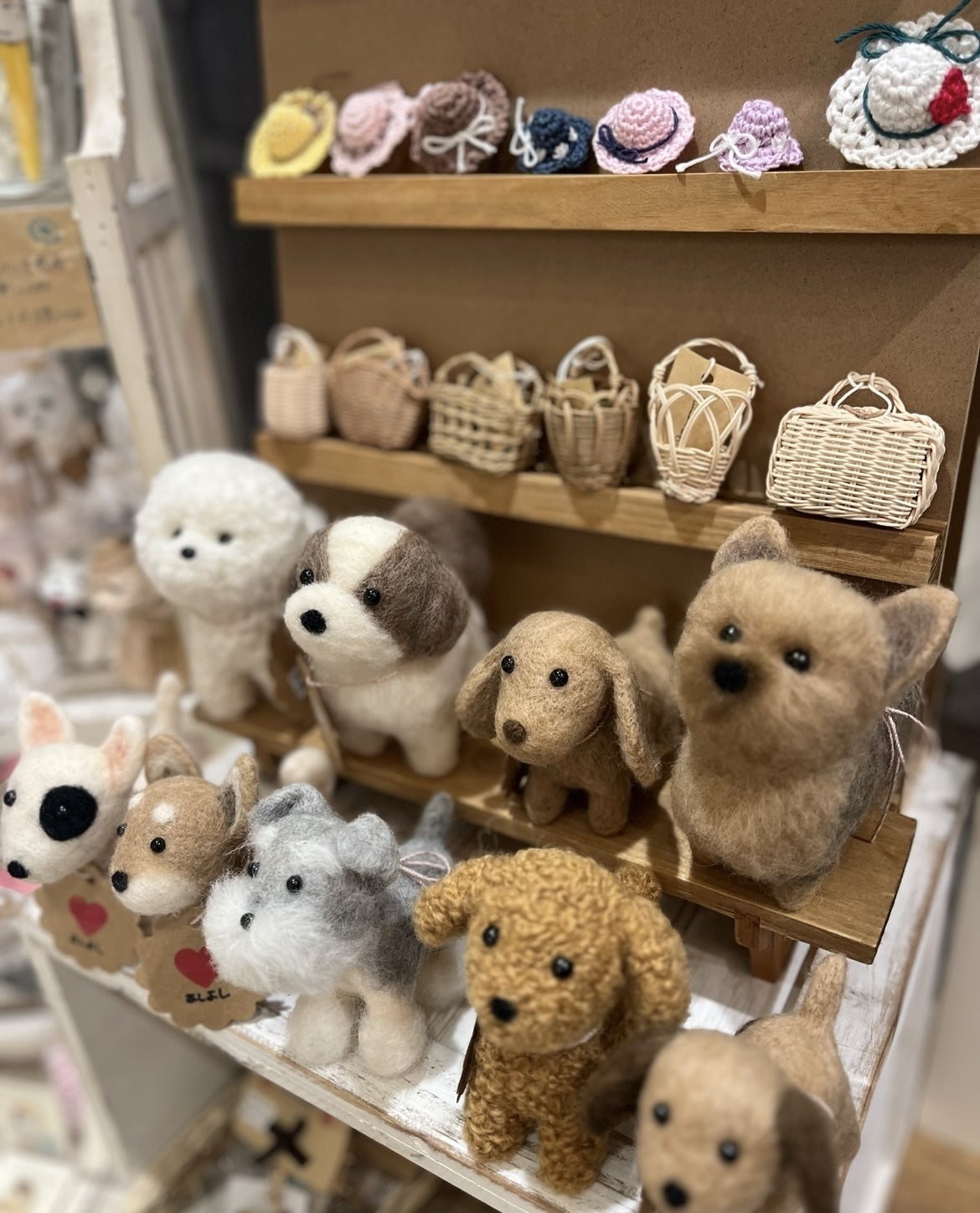 「うちの子に似てる」 「虹の橋を渡ったあの子に、また会えた気がする」 そんなお声をいただく機会が増えていきました。