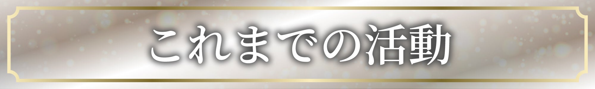 これまでの活動