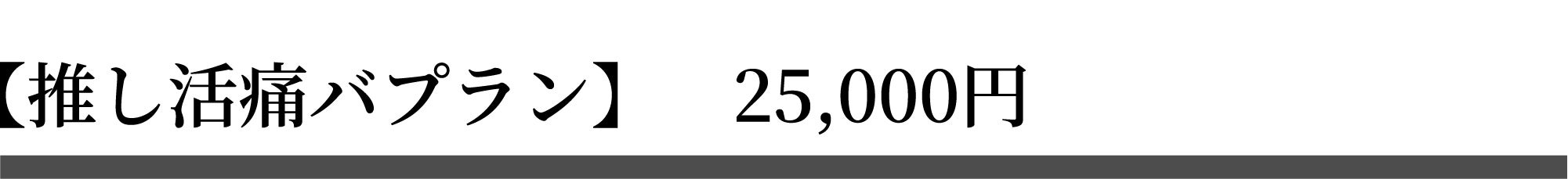 推し活痛バプラン 25,000円