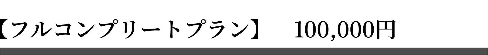 フルコンプリートプラン 100,000円