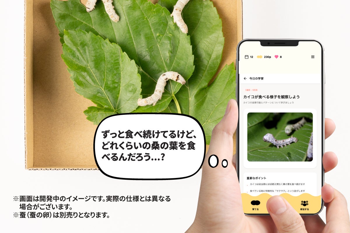 日本初！飼育ケース×専用アプリ】子どもたちへ、養蚕文化と出会う体験