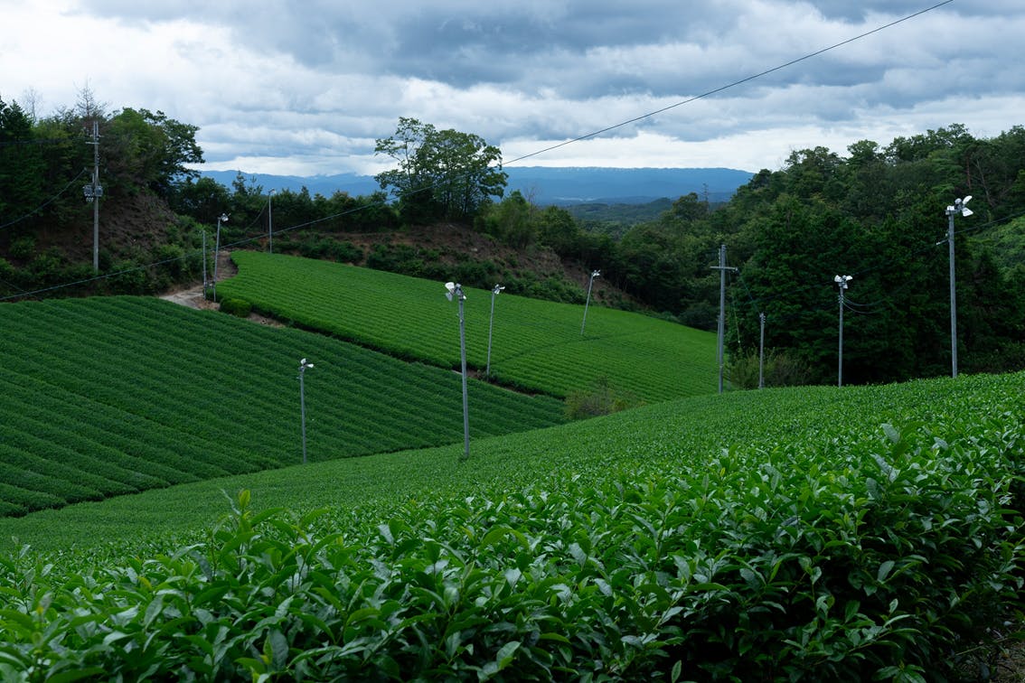 空に浮かぶような宿に 瞑想 和サウナ 雲海外気浴 を作りたい 奈良 Campfire キャンプファイヤー 空に浮かぶような宿に 瞑想 和サウナ 雲海外気浴 を作りたい 奈良 Campfire キャンプファイヤー