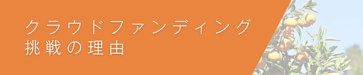 2. クラウドファンディング挑戦の理由