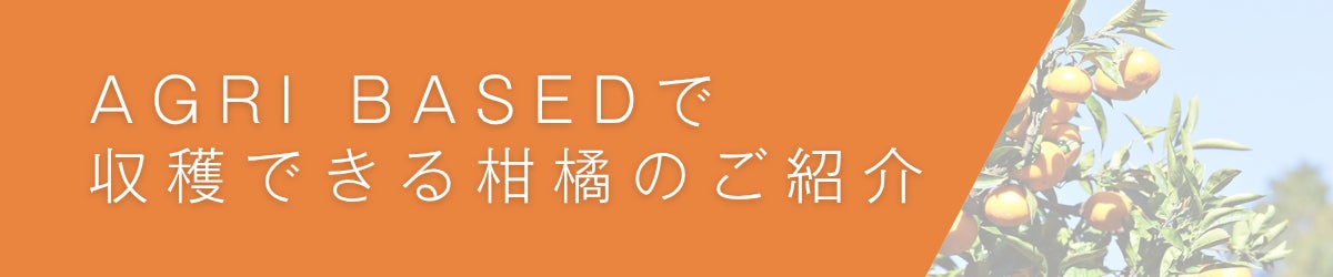 4. AGRI BASEで収穫できる柑橘のご紹介