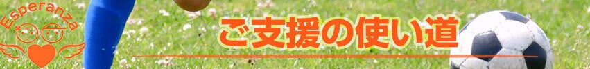 ご支援の使い道