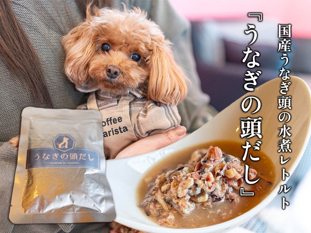 老舗うなぎ屋の厨房から、犬猫への国産うなぎ頭の水煮レトルトに挑戦