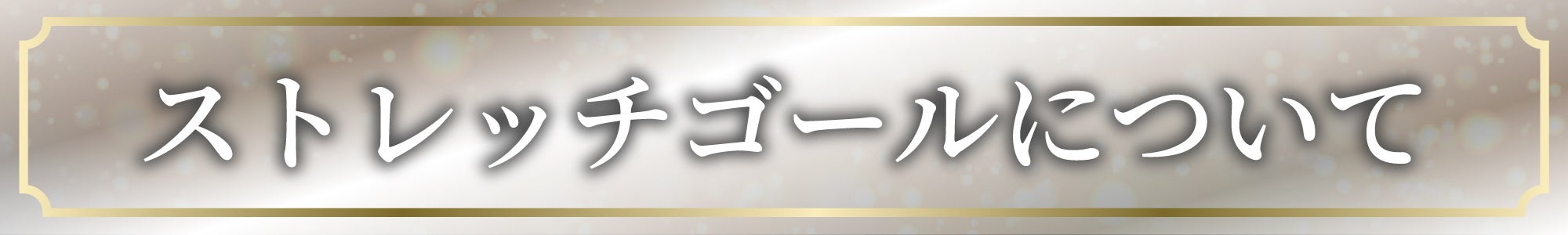 ストレッチゴールについて