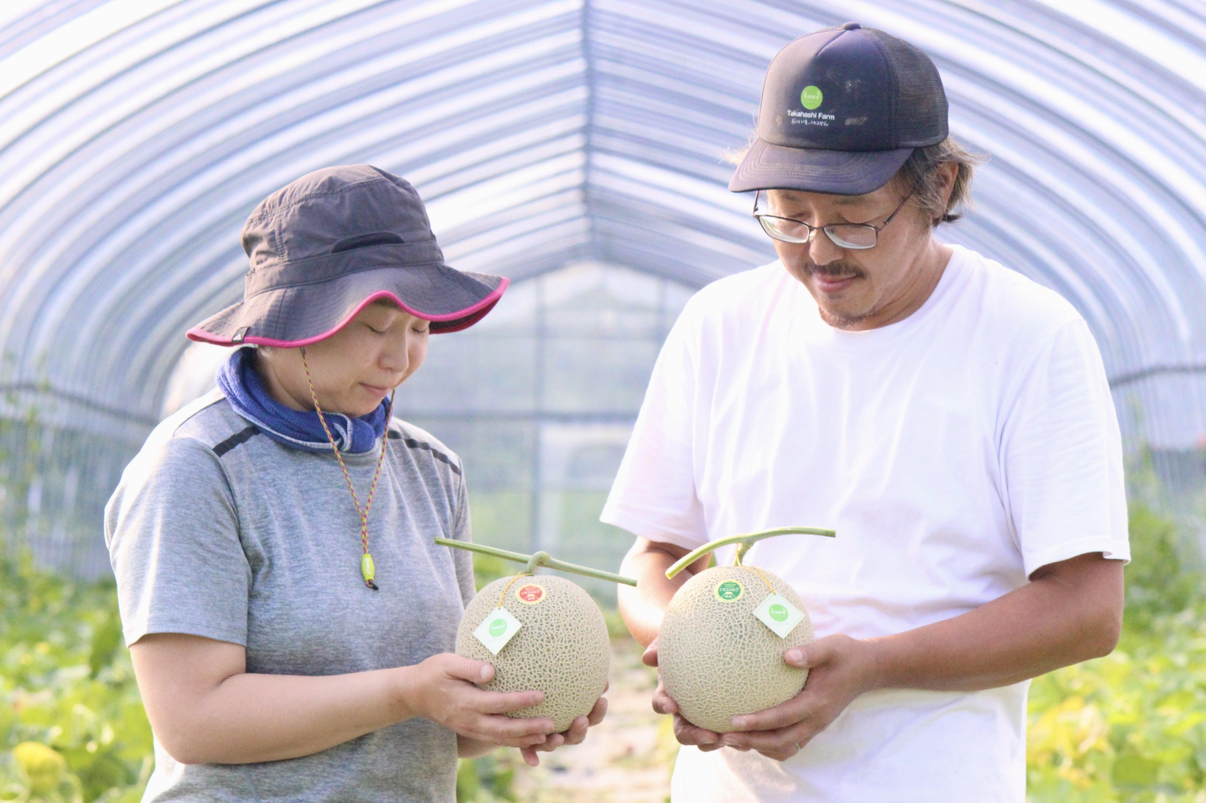 ニセコ町 高橋農園】一玉のために、約6回。高橋農園が手間を惜しまない