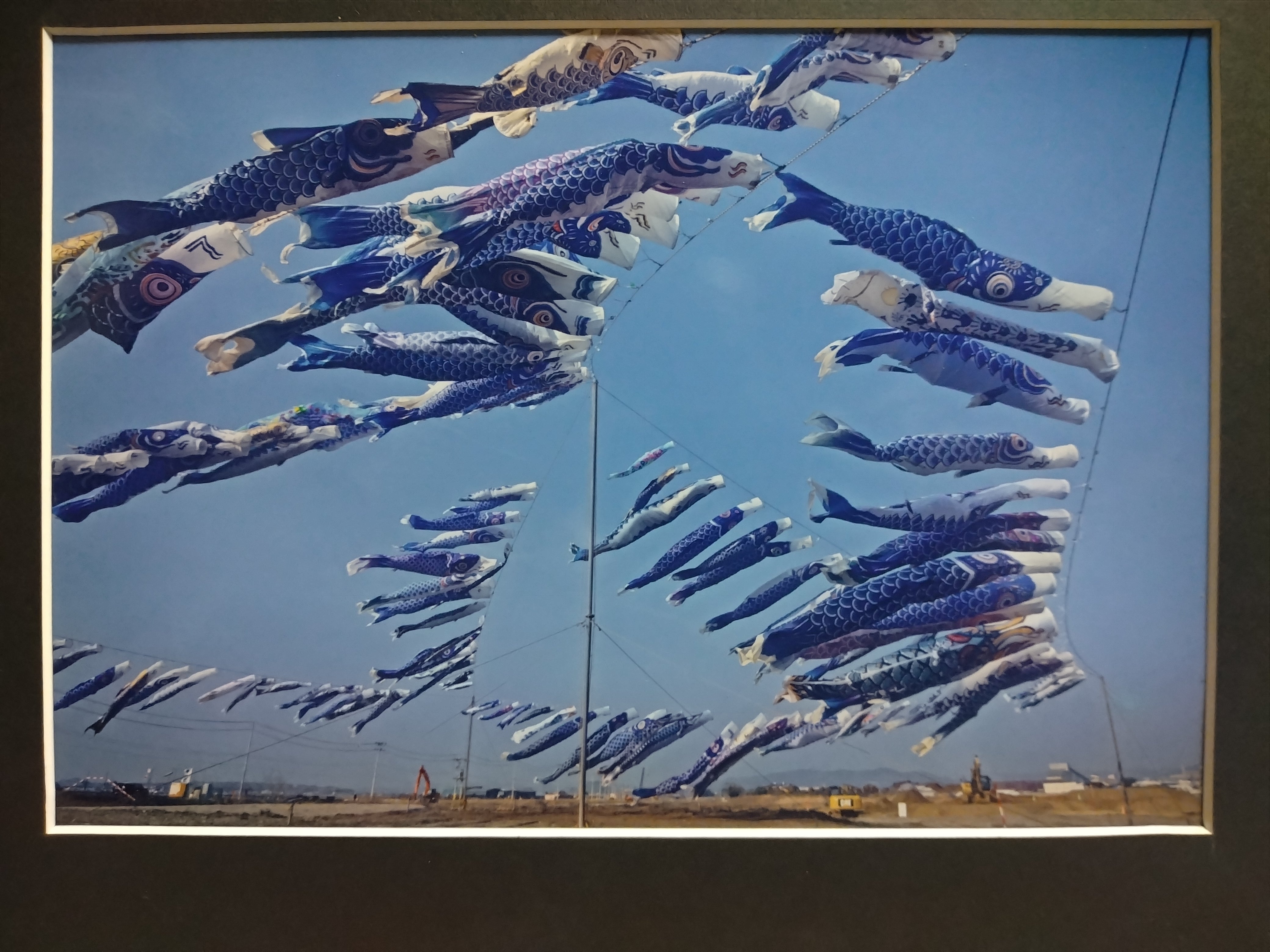難病患者による震災に負けない復興の姿を47都道府県へ伝える写真展