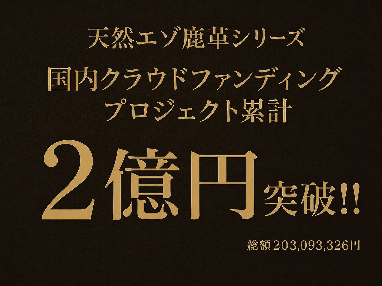 国内プロジェクト総額2億円