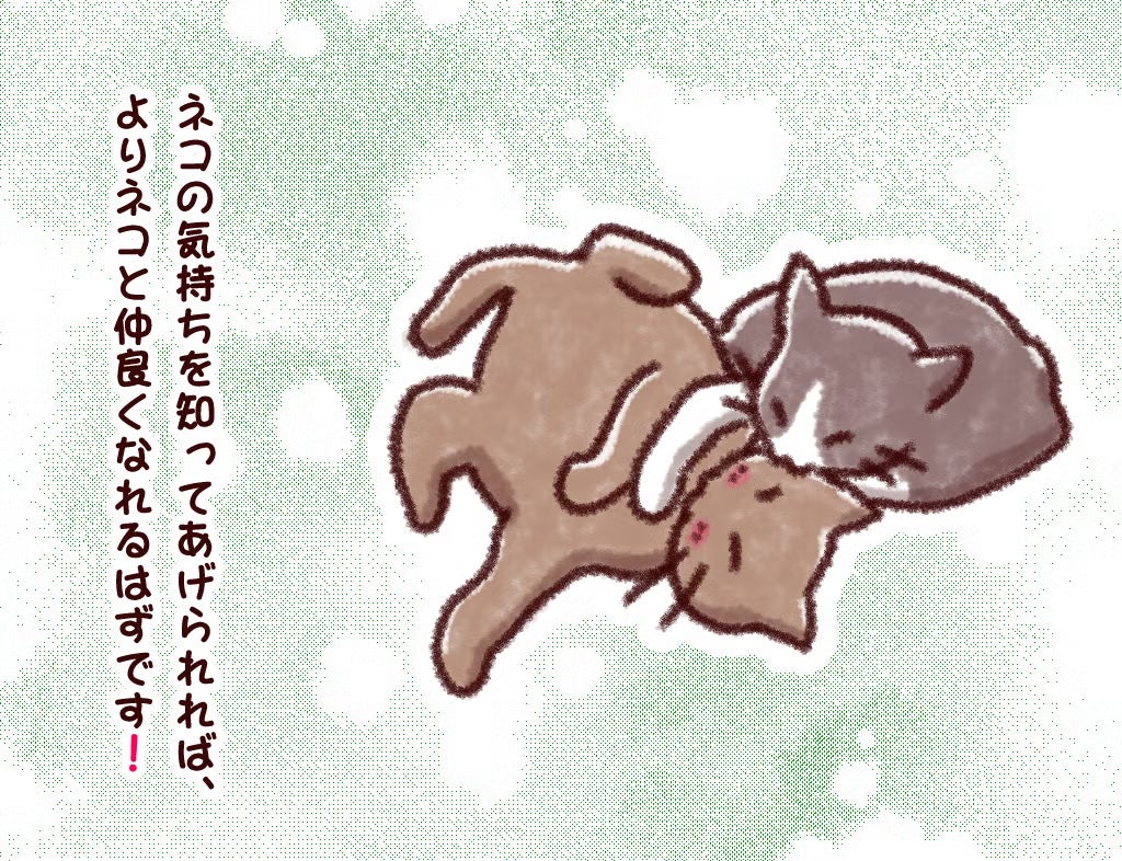 ネコの気持ちを知ってあげられれば、よりネコと仲良くなれるはずです!