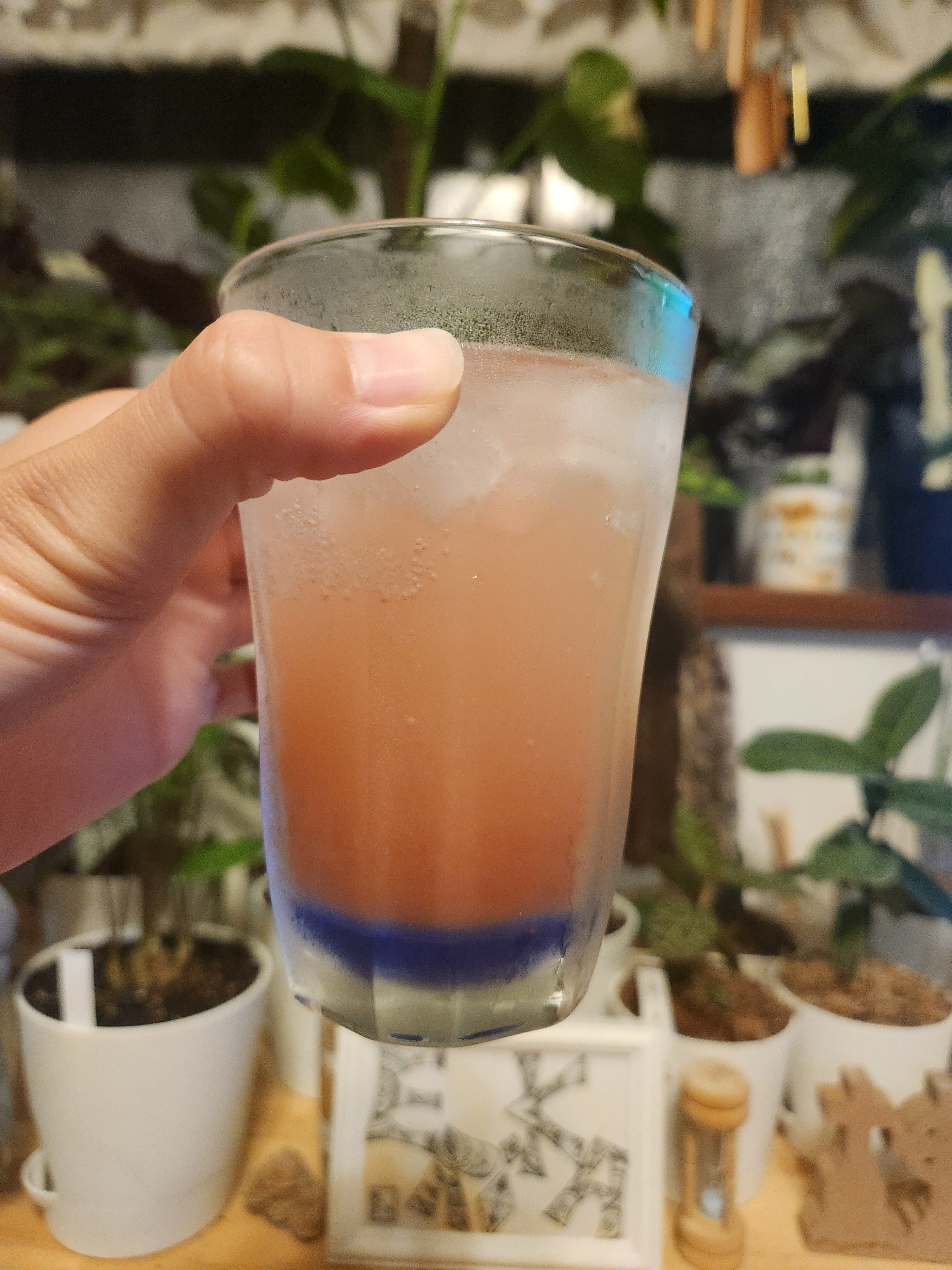 裾野高校生】地元特産品でドリンクを作りたい！ - CAMPFIRE (キャンプ