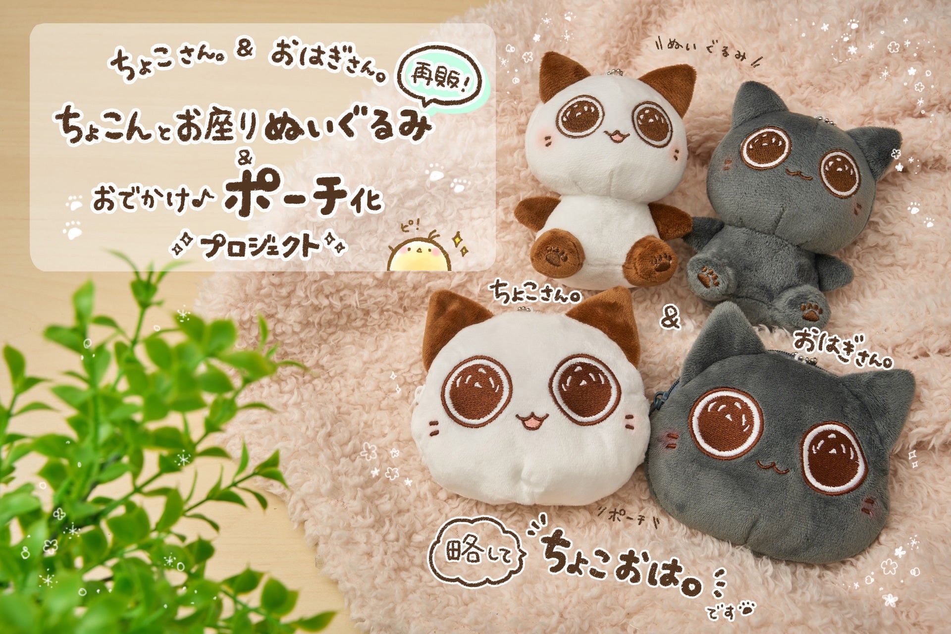 目玉アイテムのご紹介！【ちょこさん。＆おはぎさん。ぬいぐるみ再販