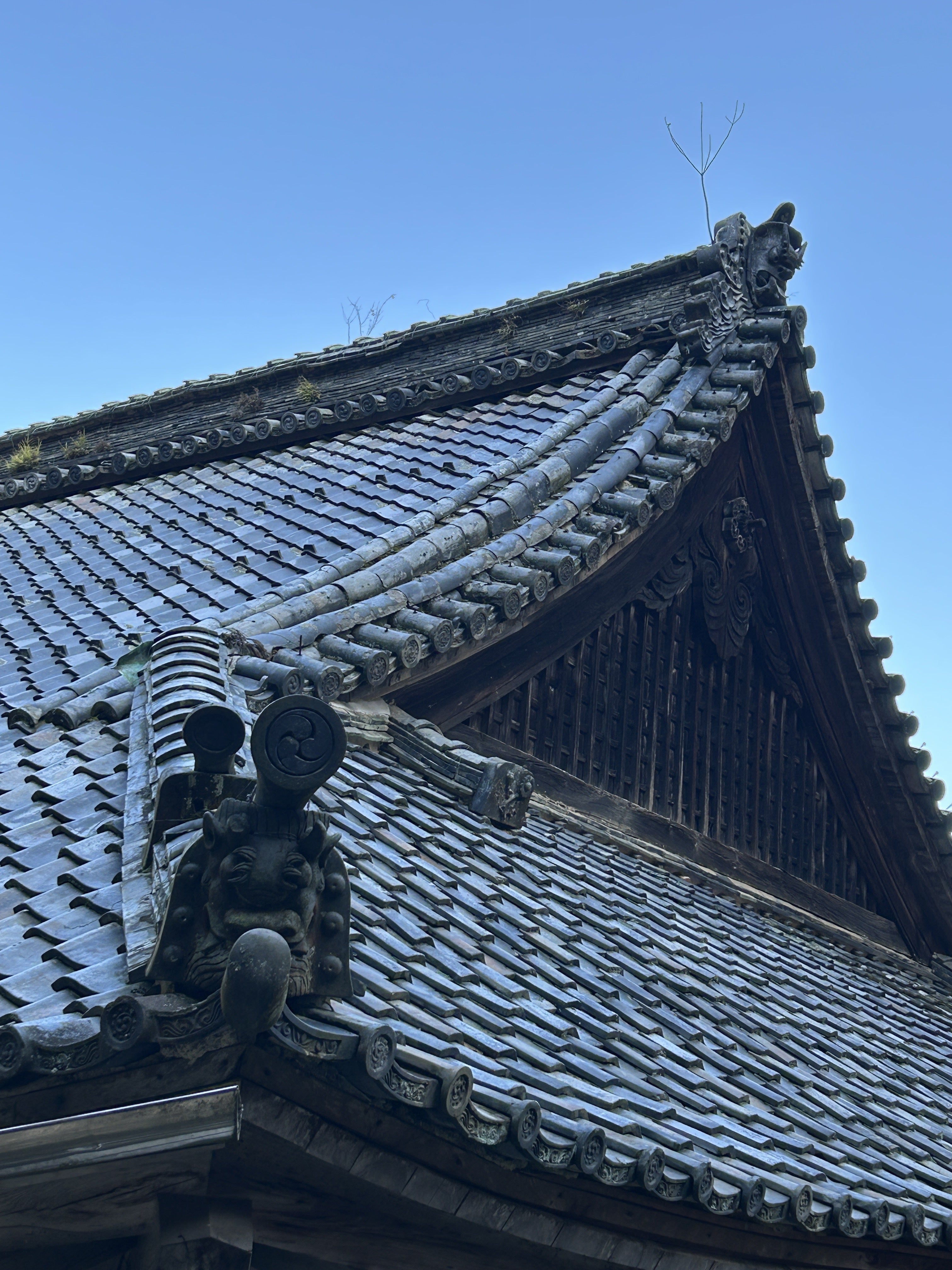 築400年の本堂を未来へつなぐ ― 山寺が守り続けた祈りの灯を絶やさない